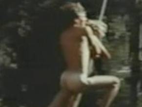 JAN MICHAEL VINCENT Nude AZNude Men