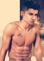 ZAYNMALIKNUDEANDSEXYPHOTOCOLLECTION - Nude and Sexy Photo Collection