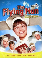 THE FLYING NUN