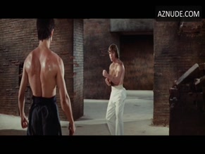 BRUCE LEE in THE WAY OF THE DRAGON(1972)