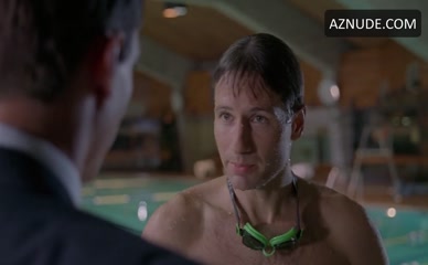 DAVID DUCHOVNY in The X-Files