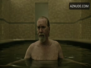 HARRY GROENER in A CURE FOR WELLNESS (2017)