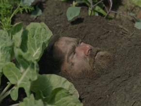 KENNY BRAIN in PLANTONIC (2020)