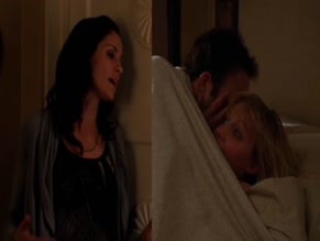 PAUL ADELSTEIN in PRIVATE PRACTICE (2007)