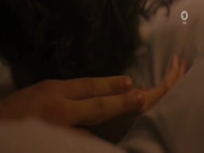 STIPE ERCEG in TRAKEHNERBLUT