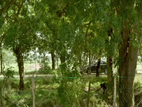 THOMAS SOLIVERES in L'ONCLE CHARLES