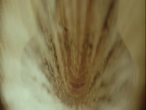 OLEKSANDR BOGACHUK NUDE/SEXY SCENE IN SQUAT32