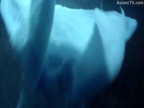 POON AKKHARAPHAT SUTITEANNARONG,DEW JIRAMATE SRINONGHANG,FILM JIRAYU AUNGVANICH NUDE/SEXY SCENE IN LOVER MERMAN