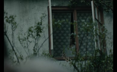 LOUIS HOFMANN in LILIES NOT FOR ME