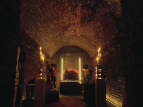 MARCELO ALONSO NUDE/SEXY SCENE IN BABY BANDITO