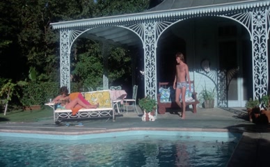 JOHN SAVAGE NUDE/SEXY SCENE IN THE KILLING KIND