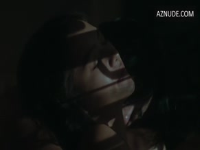 PAULO AVELINO in LINLANG