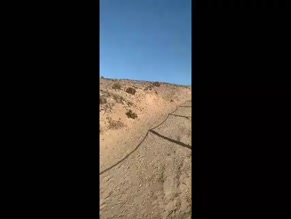 PADDY O' BRIAN in THE BEST OF PADDY O' BRIAN (2024)