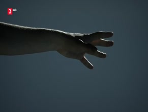 JONATHAN BERLIN NUDE/SEXY SCENE IN SUMMER OF 44