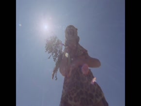 LEONARDO TREVIGLIO,BARNEY JAMES,NEIL KENNEDY,RICHARD WARWICK,LINDSAY KEMP NUDE/SEXY SCENE IN SEBASTIANE