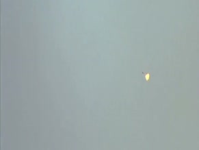 ARMANDO RIESCO in GARDEN STATE