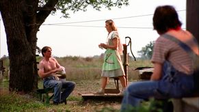  alt="Robert Sean Leonard Sexy in A Painted House"
