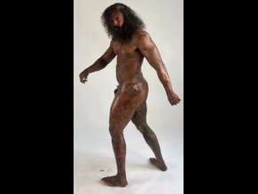 Chi Lewis-Parry Ultimate Nude And Sexy Collection