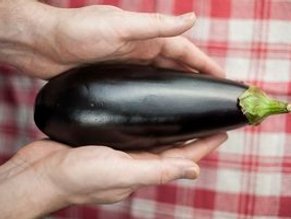 Austin Mahone Ultimate Nude And Sexy Collection