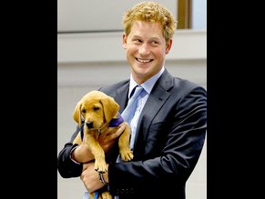 Prince Harry Ultimate Nude And Sexy Collection