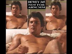 Richard Gere Ultimate Nude And Sexy Collection