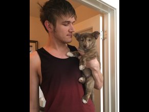 Bo Burnham Ultimate Nude And Sexy Collection
