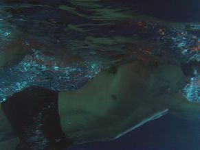  alt="Colin Farrell Sexy in Sugar"