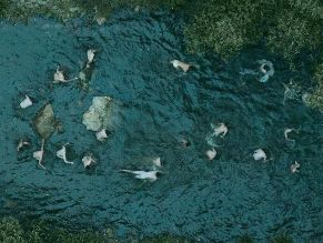 Jacob Elordi Sexy in The Narrow Road To The Deep North