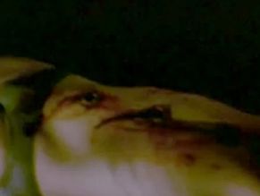  alt="Scott Fults Sexy in Hide And Go Shriek"
