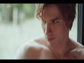 GUSTAV SCHMIDT NUDE/SEXY SCENE IN CRYSTAL WALL