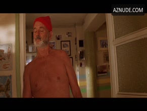 BILL MURRAY NUDE/SEXY SCENE IN THE LIFE AQUATIC WITH STEVE ZISSOU