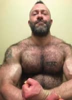 MUSCLEMOUNTAINLION