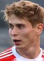 ANTON HEINZ