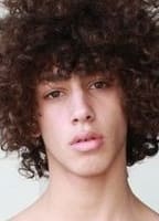 BARAK SHAMIR