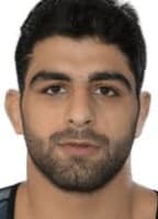 MOHAMMAD HADI SARAVI