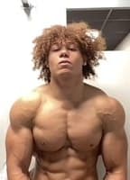 HEAVYVEIN
