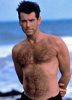 PIERCE BROSNAN