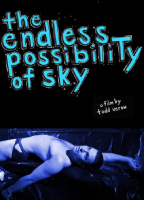 THE ENDLESS POSSIBILITY OF SKY