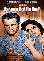 CAT ON A HOT TIN ROOF NUDE SCENES
