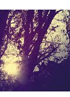 INSPIRA - ONADES DE NIT