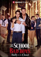 THE SCHOOL FOR BAD BOYS: THE BULLY IN THE CLOSET