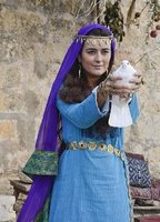 THE DOVEKEEPERS