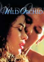 WILD ORCHID