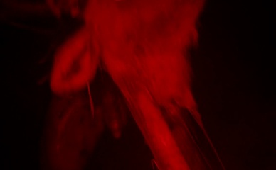 CHI LEWIS-PARRY NUDE/SEXY SCENE IN 28 YEARS LATER