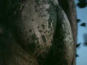 CHRIS GREGORY NUDE/SEXY SCENE IN 28 YEARS LATER