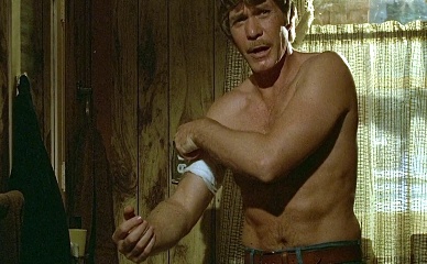 CHRISTOPHER STONE NUDE/SEXY SCENE IN THE HOWLING