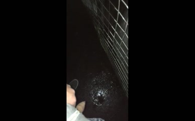 ALEJANDRO ORLANDI NUDE/SEXY SCENE IN ALEJANDRO ORLANDI SEXY AND NUDE PHOTOS AND VIDEOS PISSING AND SHOWING OFF HIS HOT COCK