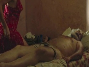 DANIEL AIMETTA in THESIS ON A DOMESTICATION (2025)