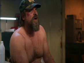 DAVID HARBOUR in STRANGER THINGS (2016)