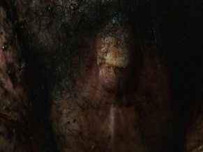 DAVID SHACKELFORD NUDE/SEXY SCENE IN THE INVISIBLE RAPTOR